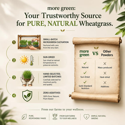 Wheatgrass Powder, Cold Dried, Chlorophyll Rich