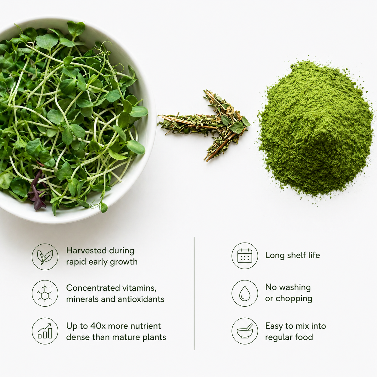Microgreens to microgreen powder